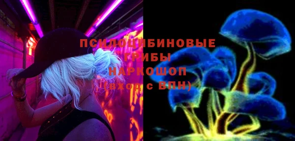 apvp Михайловка