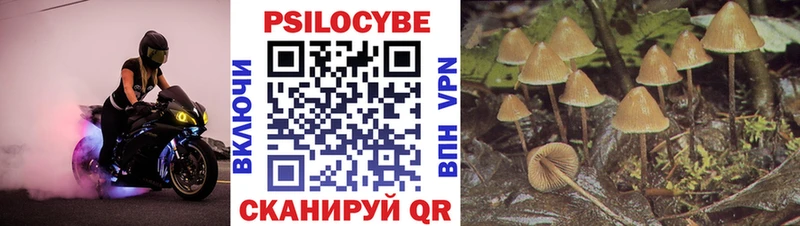 где купить наркоту Устюжна Галлюциногенные грибы прущие грибы